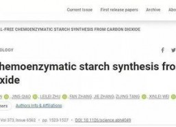 吃瓜一波爆料视频,一窥娱乐圈幕后风云