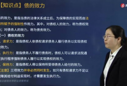 专属权,法律保护下的知识产权奥秘