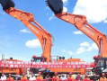 大型挖掘机视频,现场实况视频深度解析