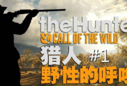 女人与动物性交视频,揭秘人类与动物性行为的禁忌真相