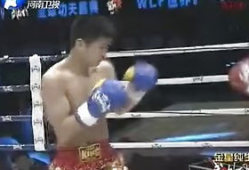 武林风现场直播91集,巅峰对决，热血沸腾的武术传奇