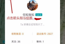 91钓鱼直播怎么赚钱,揭秘钓鱼爱好者如何通过直播实现盈利
