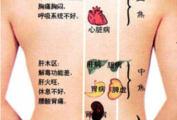 怎么刮痧背部视频教程